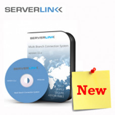 Serverlink With 1st Year Annual Subscription